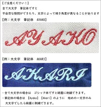 プールバッグ